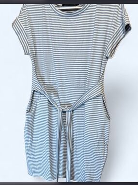 Striped Blue and White Tie-Waist Mini Dress